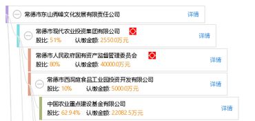 常德市東山秀峰文化發展有限責任公司 以文化為根基，打造常德軟件開發新標桿
