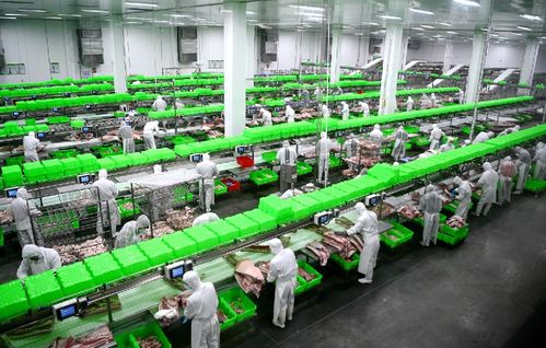 2020，南陽城鄉巨變 三起來戰略如何勁推城市出新出彩